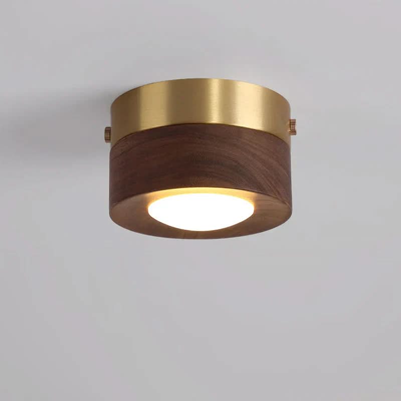 Walnut LED sufitowa lampa oszczędzająca energię | Temsk