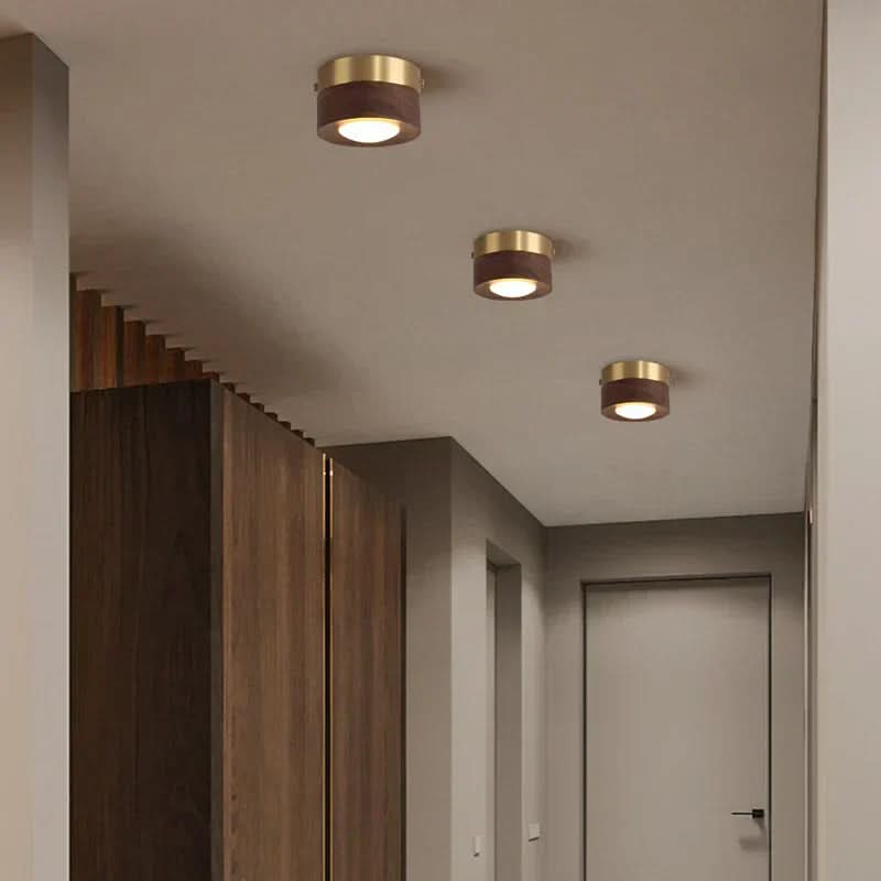 Walnut LED sufitowa lampa oszczędzająca energię | Temsk