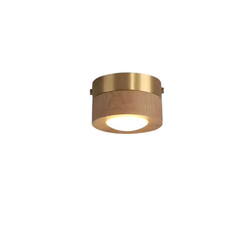 Walnut LED sufitowa lampa oszczędzająca energię | Temsk