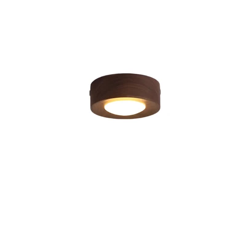 Walnut LED sufitowa lampa oszczędzająca energię | Temsk