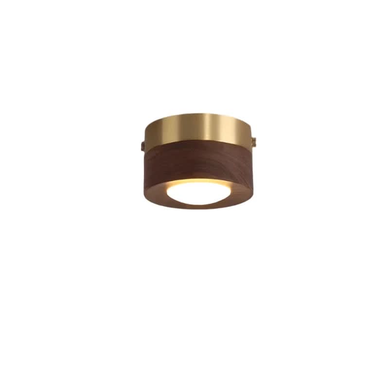 Walnut LED sufitowa lampa oszczędzająca energię | Temsk