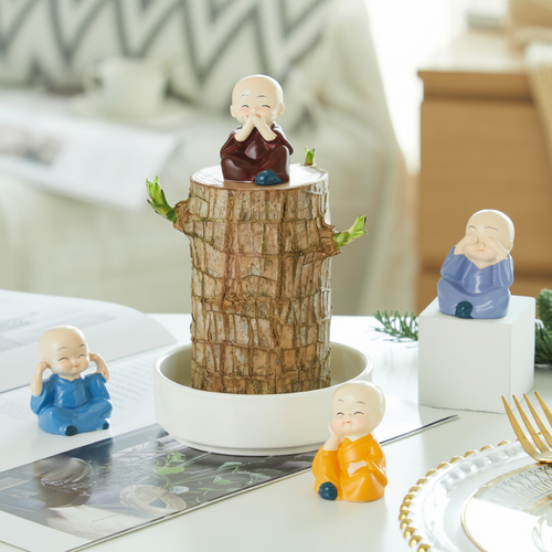 Decorative Pot Lucky Bamboo Plant For Air Purification Temsk
