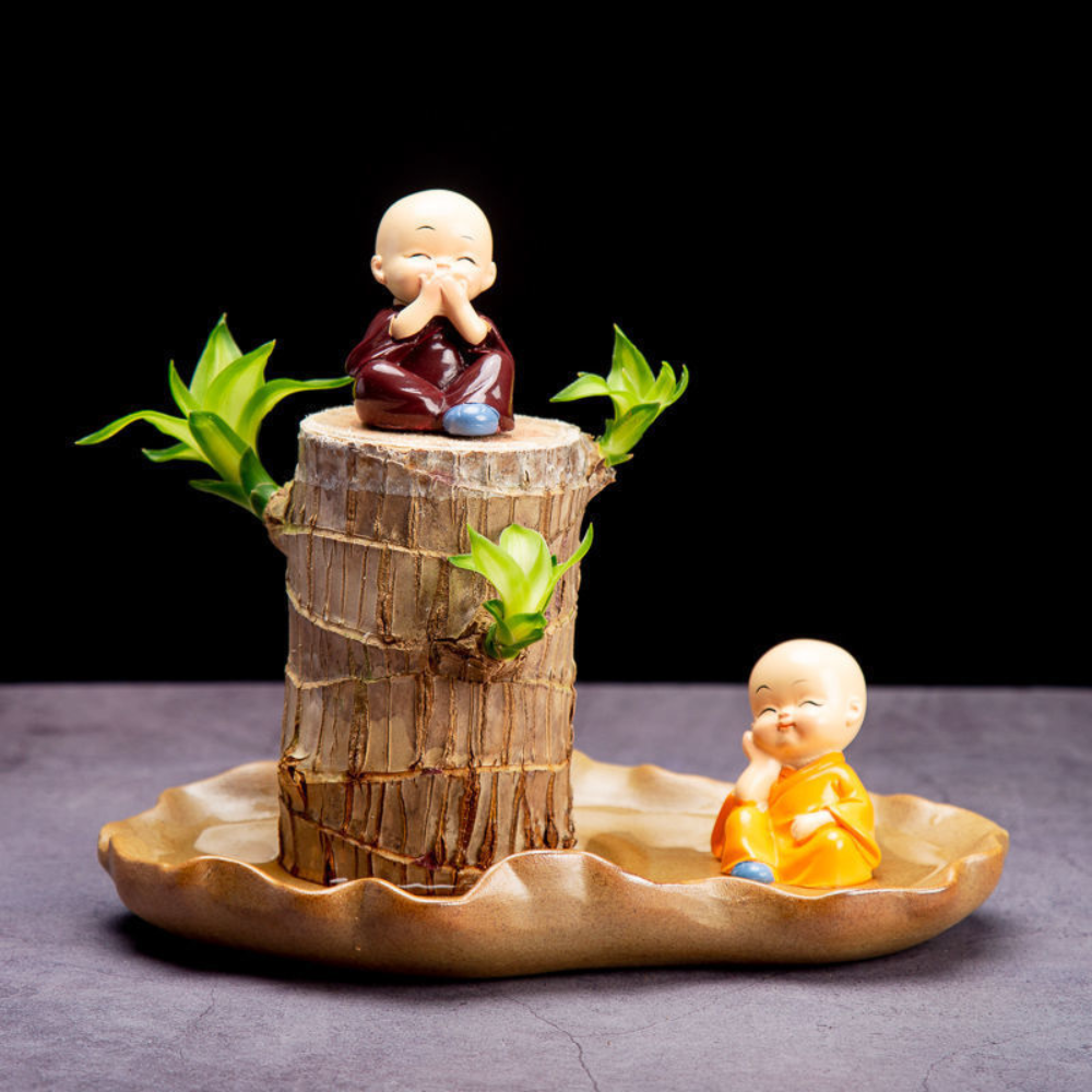 Lucky Bamboo Plant In Decorative Pot For Air Purification | Temsk