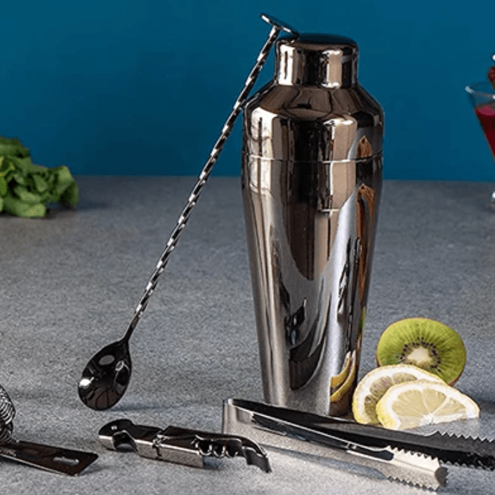 Aurora Bar Set 10 Piece Stainless Steel Cocktail Set For Stylish Drinks | Temsk