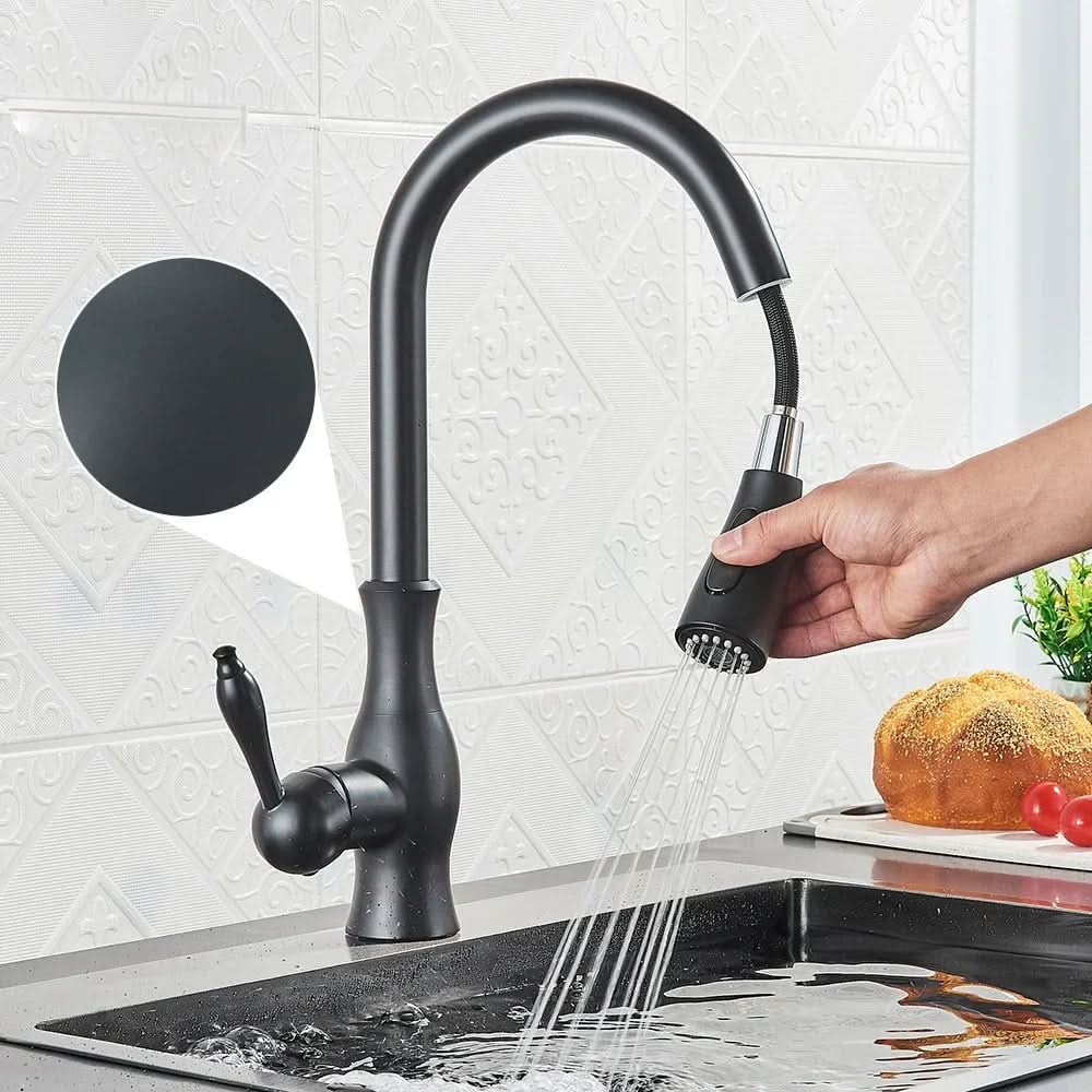 Auravista Golden Kitchen Mixer With Pull Out Spray And Swivel | Temsk