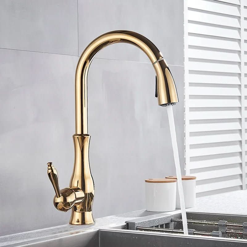 Auravista Golden Kitchen Mixer With Pull Out Spray And Swivel | Temsk