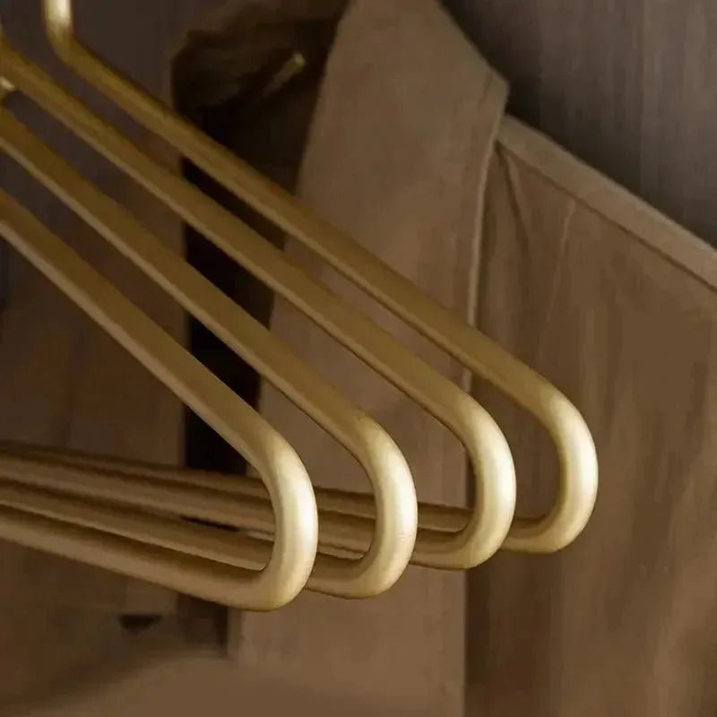 LustraHanger Elegant Gold And Silver Hanger Set For Neat Space Saving Home Wardrobes | Temsk