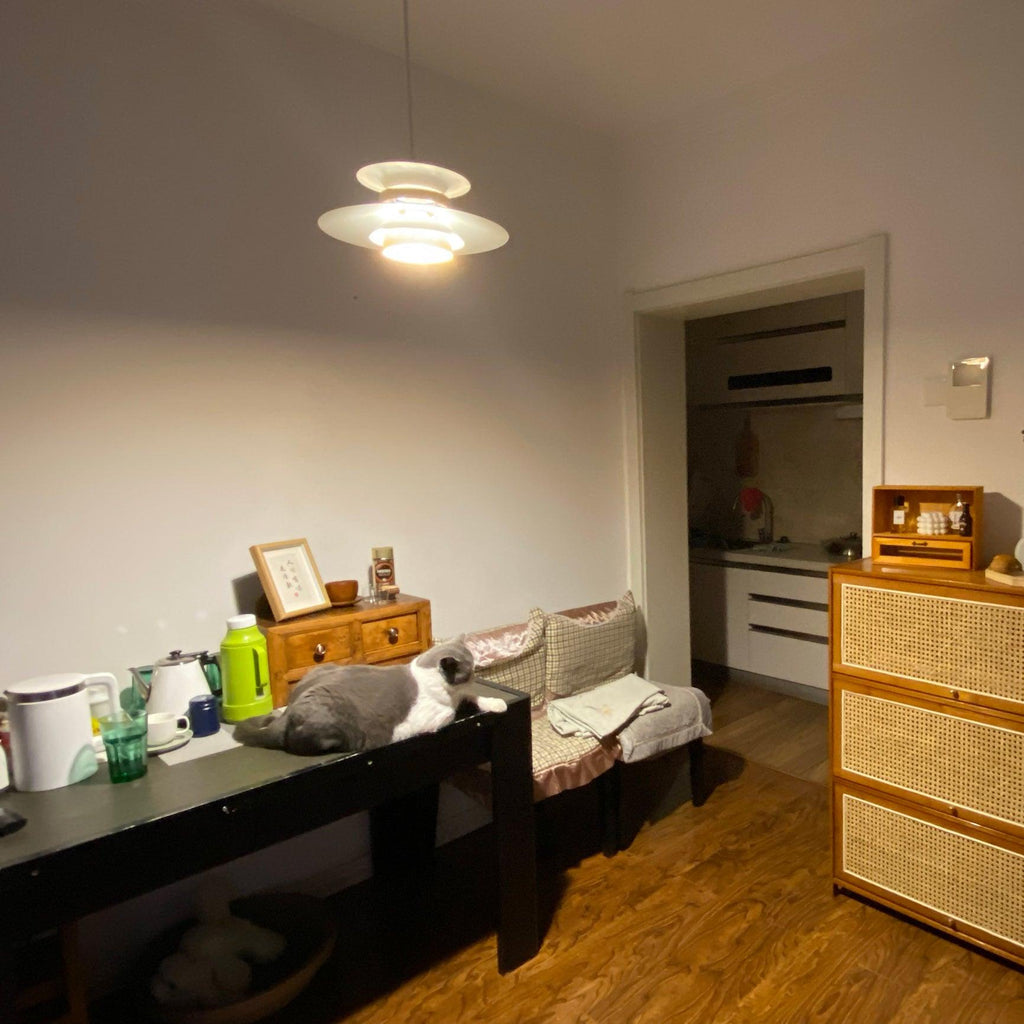 Astraea Pendant Light With Timeless Elegance And Warm Glow | Snurv | Temsk