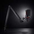 Adjustable Boom Arm For Microphone Stand On The Desk With Cable Management | Temsk
