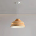 Solara Radiant Pendant Light With Nature Inspired Silhouette | Snurv | Temsk