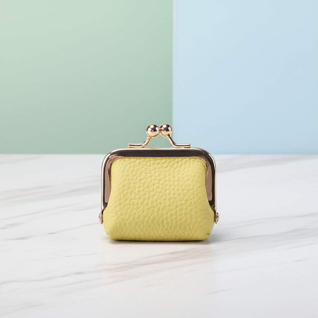 Compact Genuine Leather Jewelry Box With Gold Clasp For Travel | Temsk