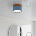AeroNest Modern Dimmable LED Ceiling Light With Wood Design | Temsk