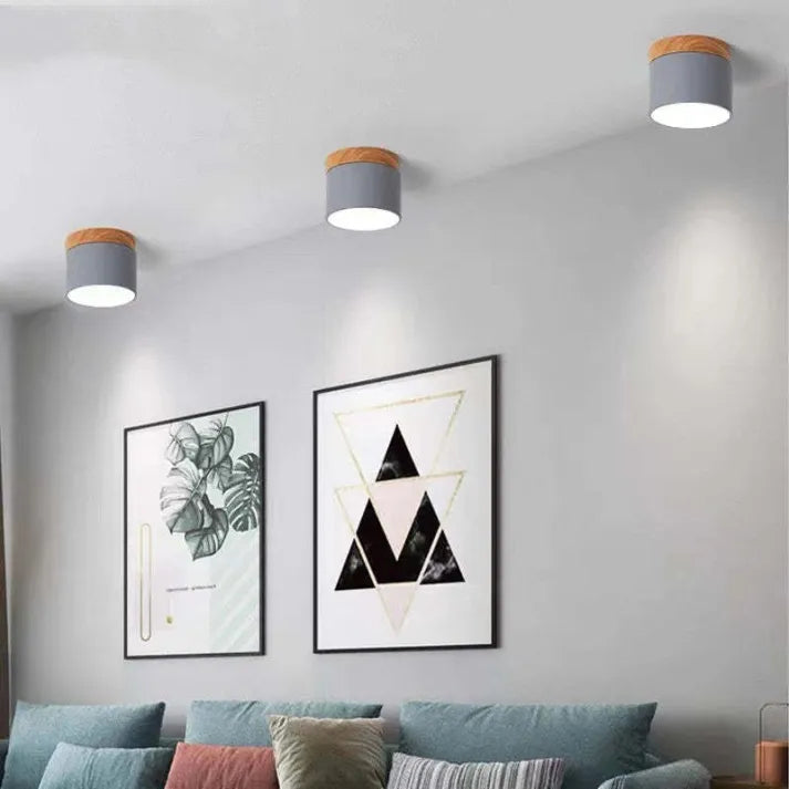 Virel Nordic LED Ceiling Light Minimalist Cylindrical Fixture | Snurv | Temsk