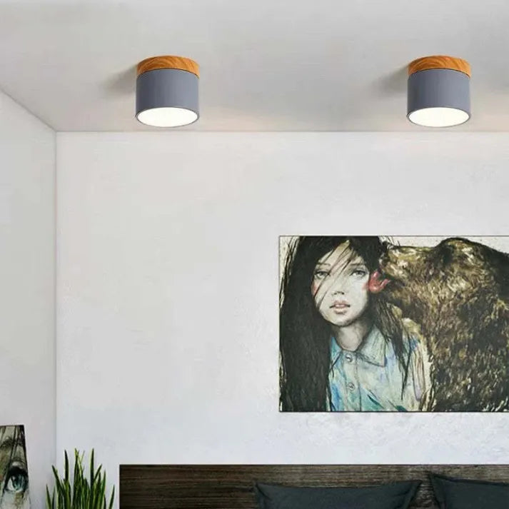 Virel Nordic LED Ceiling Light Minimalist Cylindrical Fixture | Snurv | Temsk