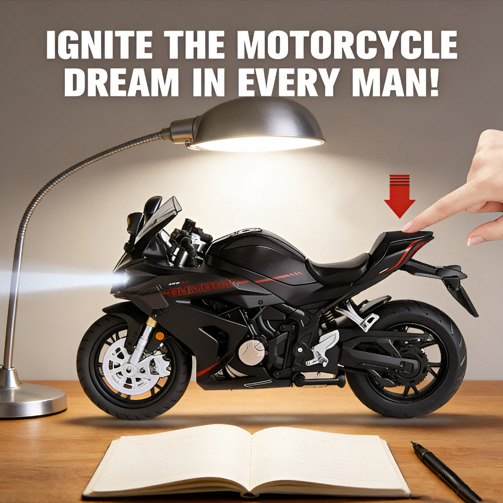 1:12 Scale Alloy Diecast Motorcycle Display Model Collectible | Temsk