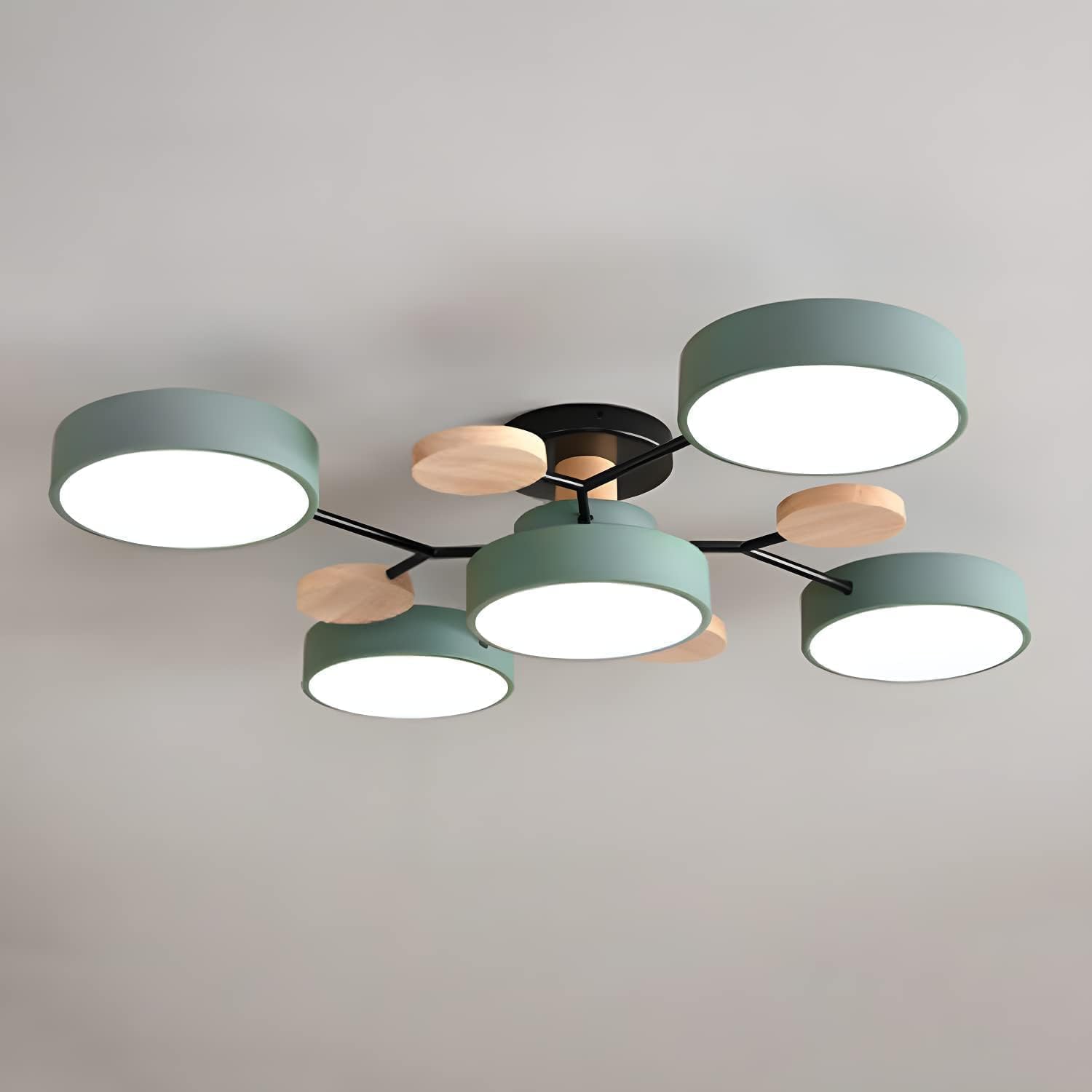 Multi Arm LED Ceiling Light With Circular Shades, 24 Inches | Temsk