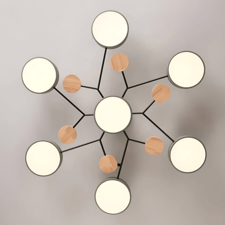 Multi Arm LED Ceiling Light With Circular Shades, 24 Inches | Temsk