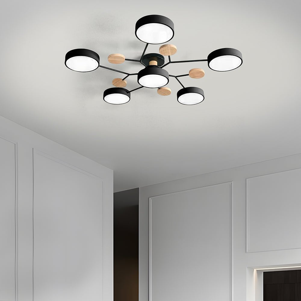 Multi Arm LED Ceiling Light With Circular Shades, 24 Inches | Temsk
