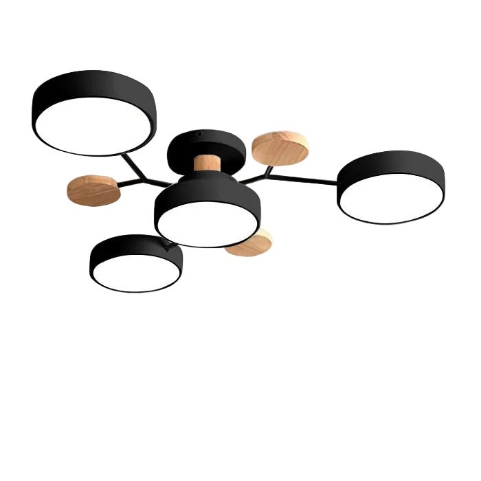Multi Arm LED Ceiling Light With Circular Shades, 24 Inches | Temsk