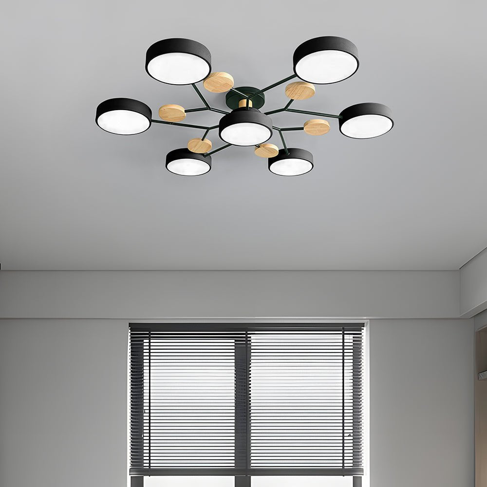 Multi Arm LED Ceiling Light With Circular Shades, 24 Inches | Temsk