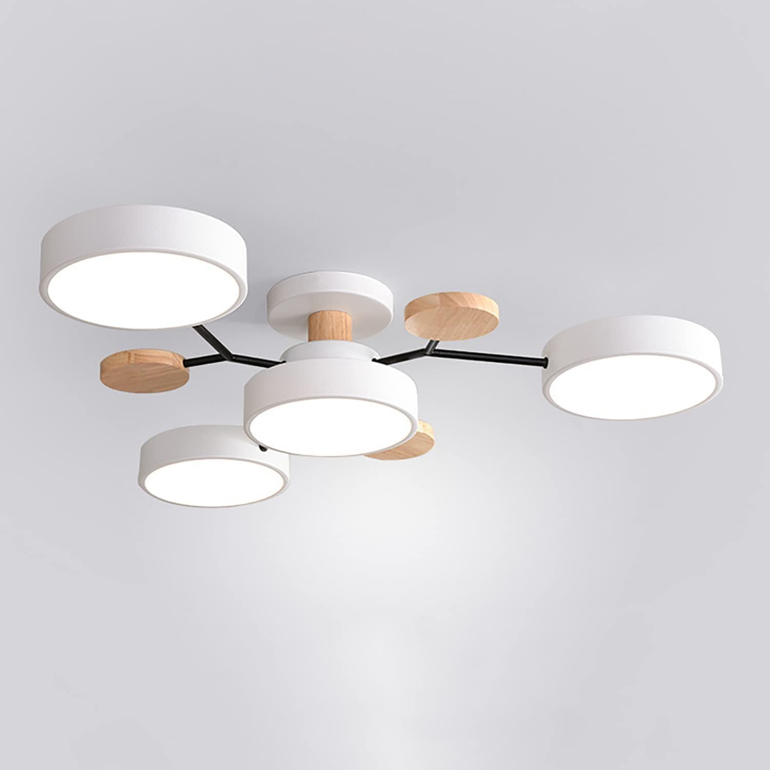 Multi Arm LED Ceiling Light With Circular Shades, 24 Inches | Temsk