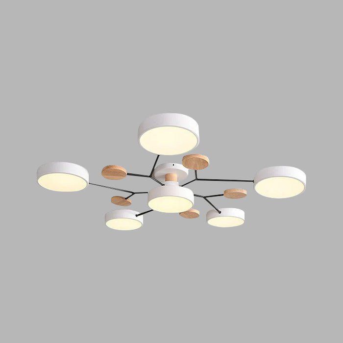 Multi Arm LED Ceiling Light With Circular Shades, 24 Inches | Temsk