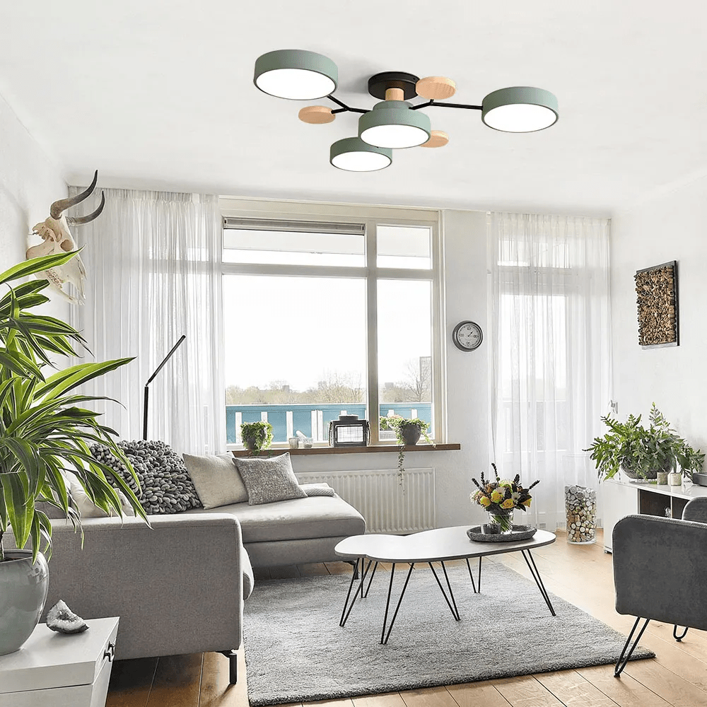 Multi Arm LED Ceiling Light With Circular Shades, 24 Inches | Temsk