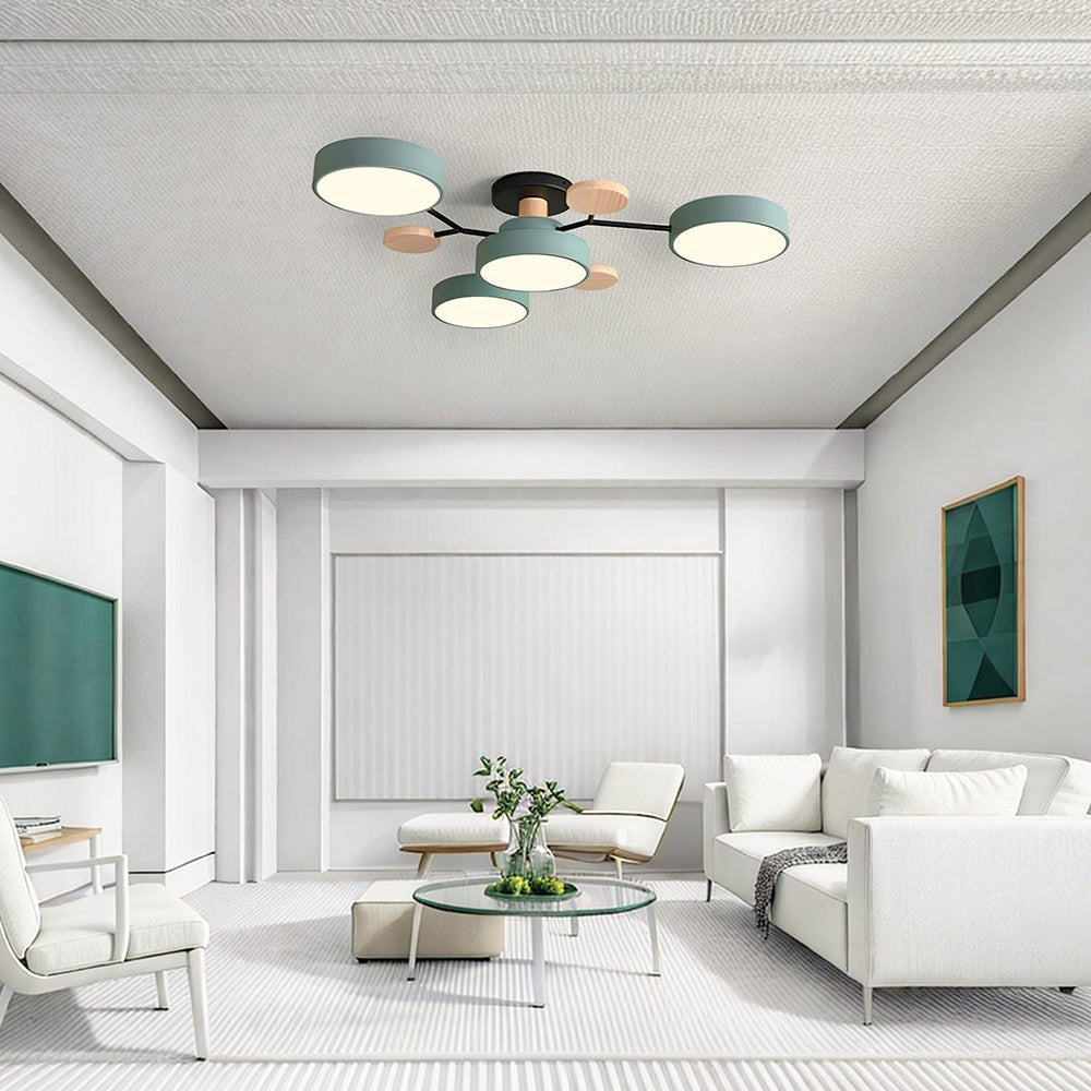 Multi Arm LED Ceiling Light With Circular Shades, 24 Inches | Temsk