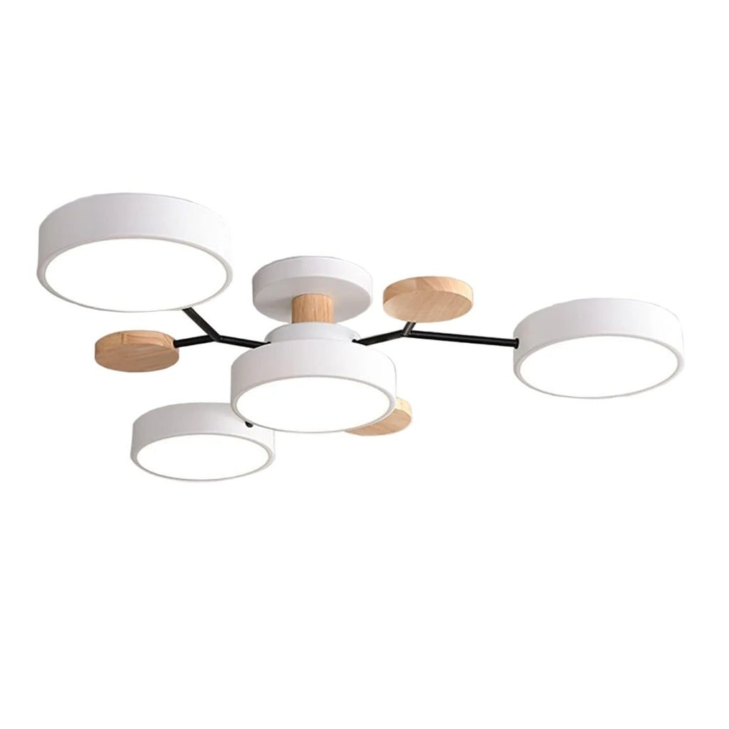 Multi Arm LED Ceiling Light With Circular Shades, 24 Inches | Temsk