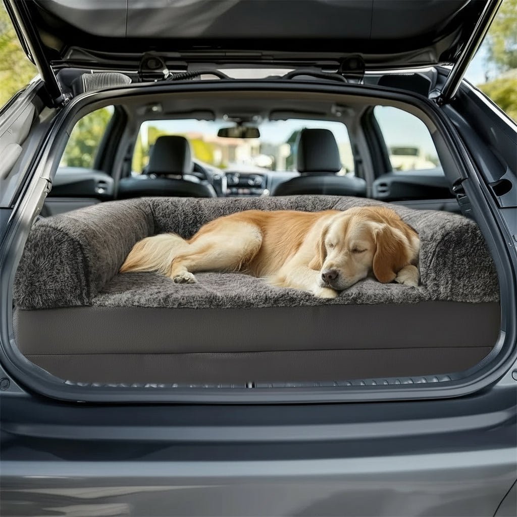 CozyPaw Lounge Oversized 180 cm Dog Bed For Pets And Their Owners | Temsk