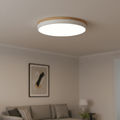 SylvaLume LED Ceiling Lamp With Natural Wood Grain And Green Accent | Temsk