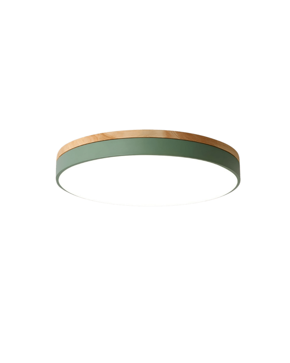 SylvaLume LED Ceiling Lamp With Natural Wood Grain And Green Accent | Temsk