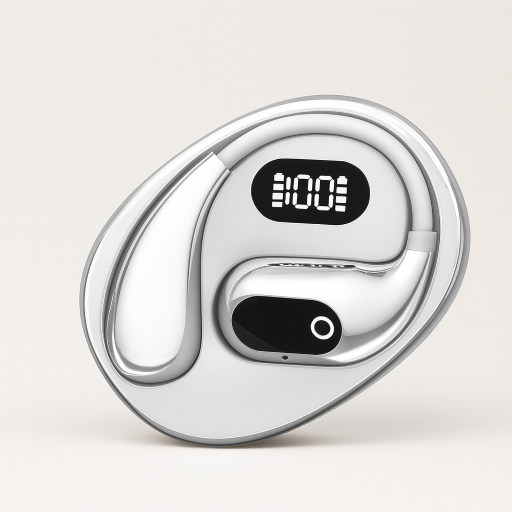 Wireless Bluetooth Translator Earbuds With Noise Cancelling Headset | Temsk