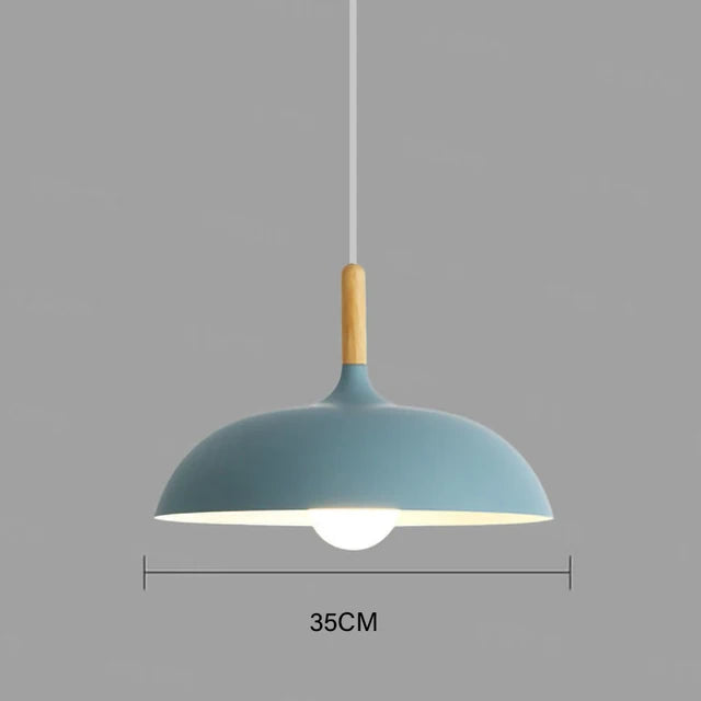 Oak Accent Ceiling Light With Warm LED For Living Room And Bedroom | Temsk