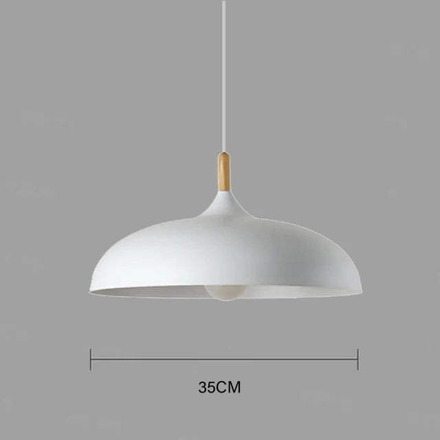 Oak Accent Ceiling Light With Warm LED For Living Room And Bedroom | Temsk