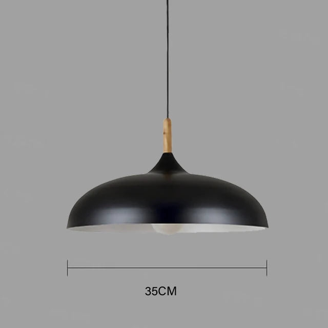Oak Accent Ceiling Light With Warm LED For Living Room And Bedroom | Temsk