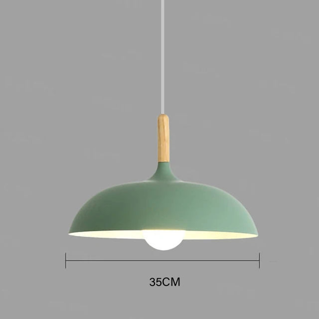 Oak Accent Ceiling Light With Warm LED For Living Room And Bedroom | Temsk
