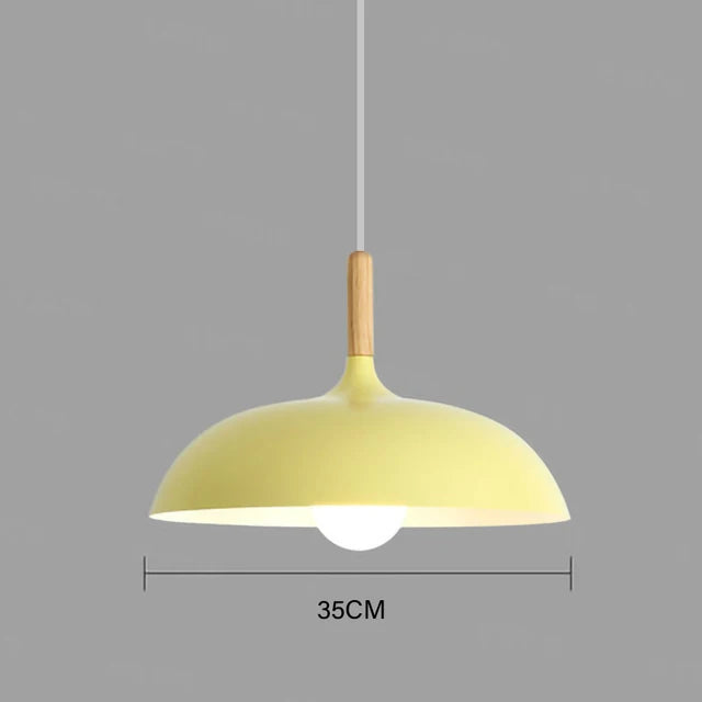Oak Accent Ceiling Light With Warm LED For Living Room And Bedroom | Temsk