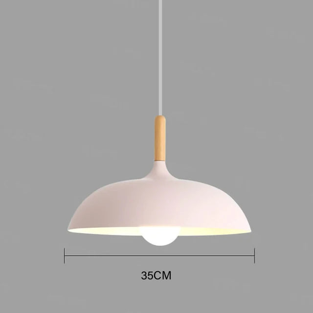 Oak Accent Ceiling Light With Warm LED For Living Room And Bedroom | Temsk