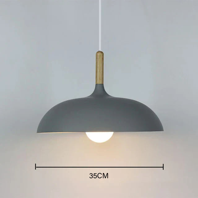 Oak Accent Ceiling Light With Warm LED For Living Room And Bedroom | Temsk