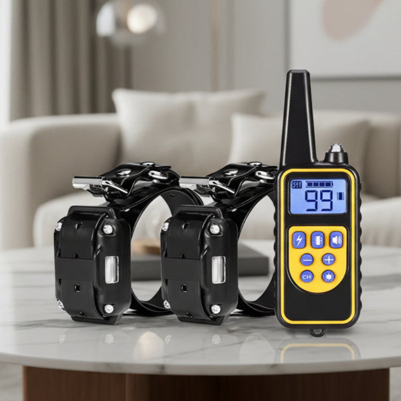 AquaPulse Waterproof Dog Training Collar With Remote Control | Temsk