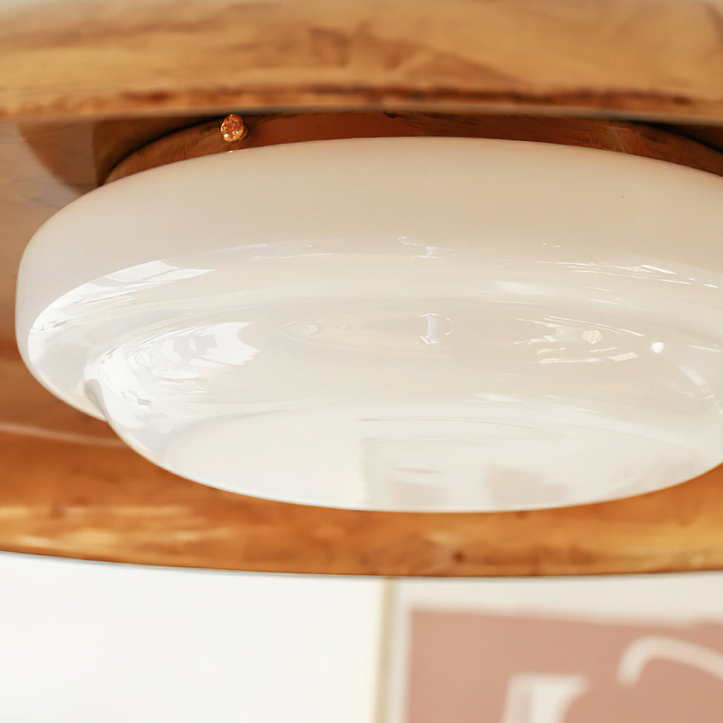 Ceiling Light With Hand-Blown Glass Shade And Textured Metal Rosette, Warm Ambient Glow | Temsk