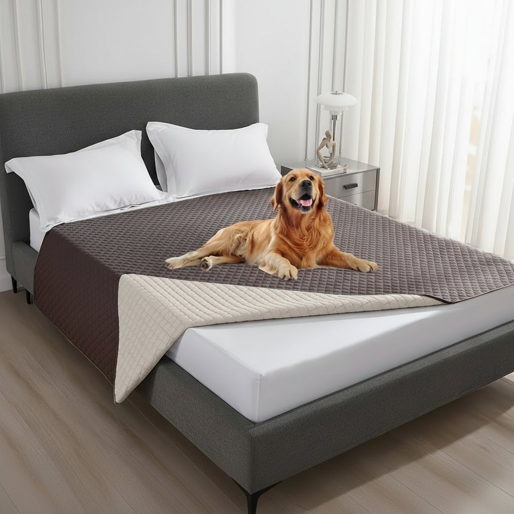 Couverture imperméable et anti-fuite PetGuard Pro pour protection des meubles | Temsk