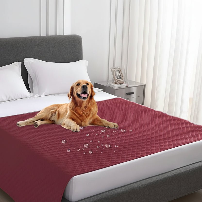 Couverture imperméable et anti-fuite PetGuard Pro pour protection des meubles | Temsk