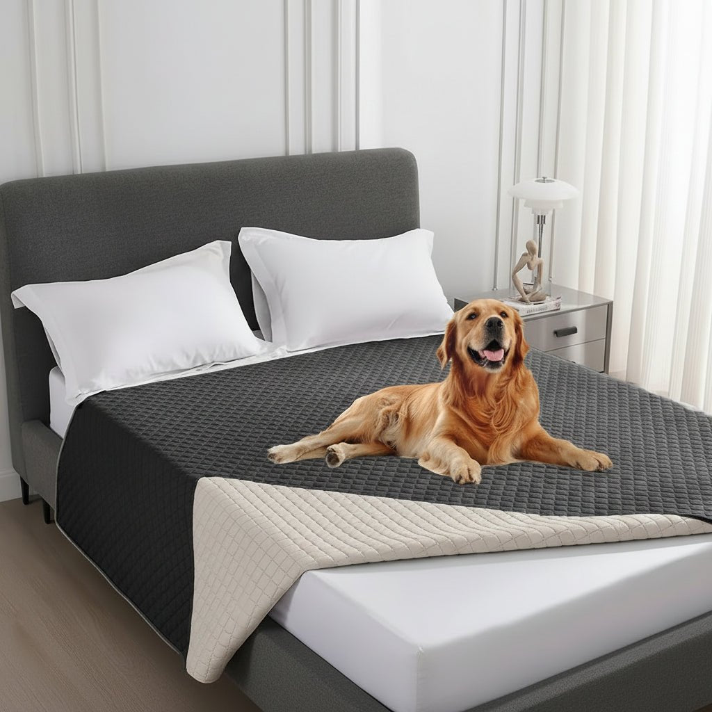 Couverture imperméable et anti-fuite PetGuard Pro pour protection des meubles | Temsk