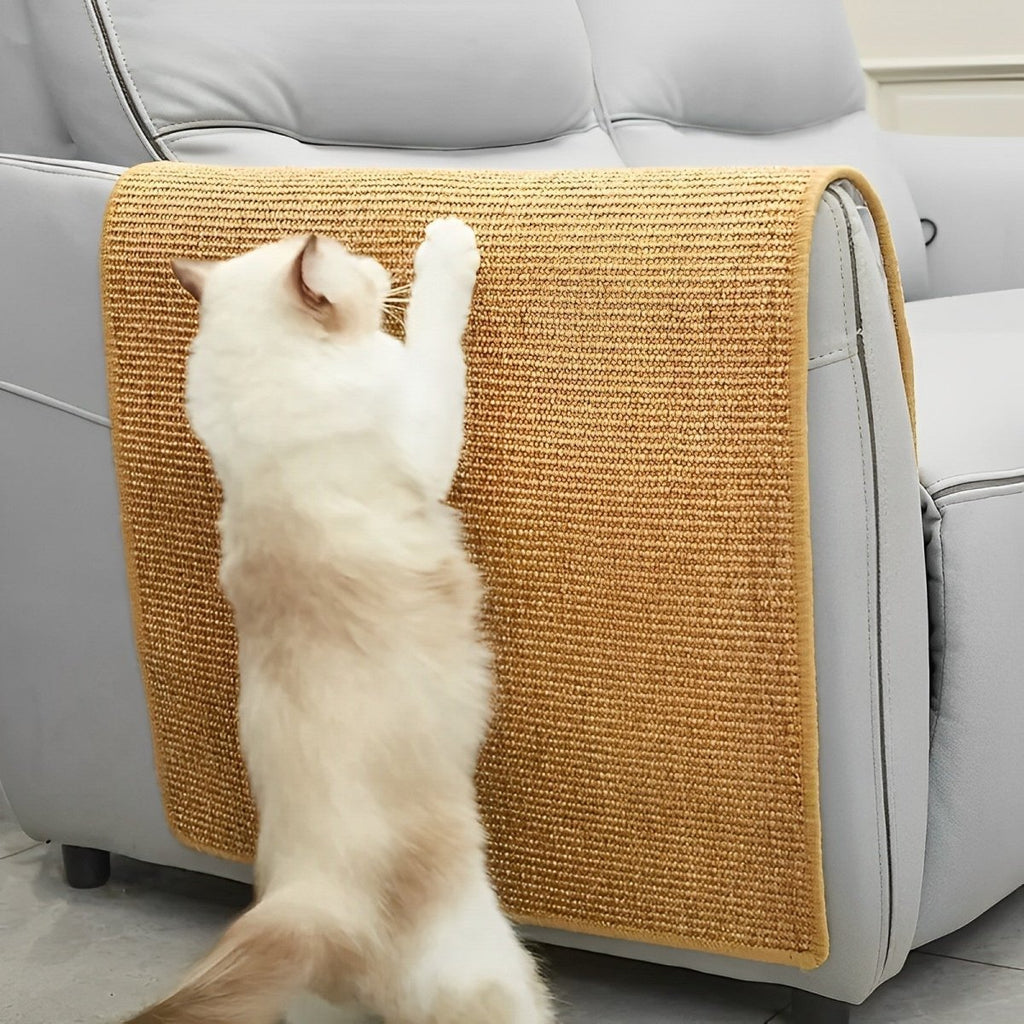PawNest Modern Cat Scratching Post For Claw Care And Play | Temsk
