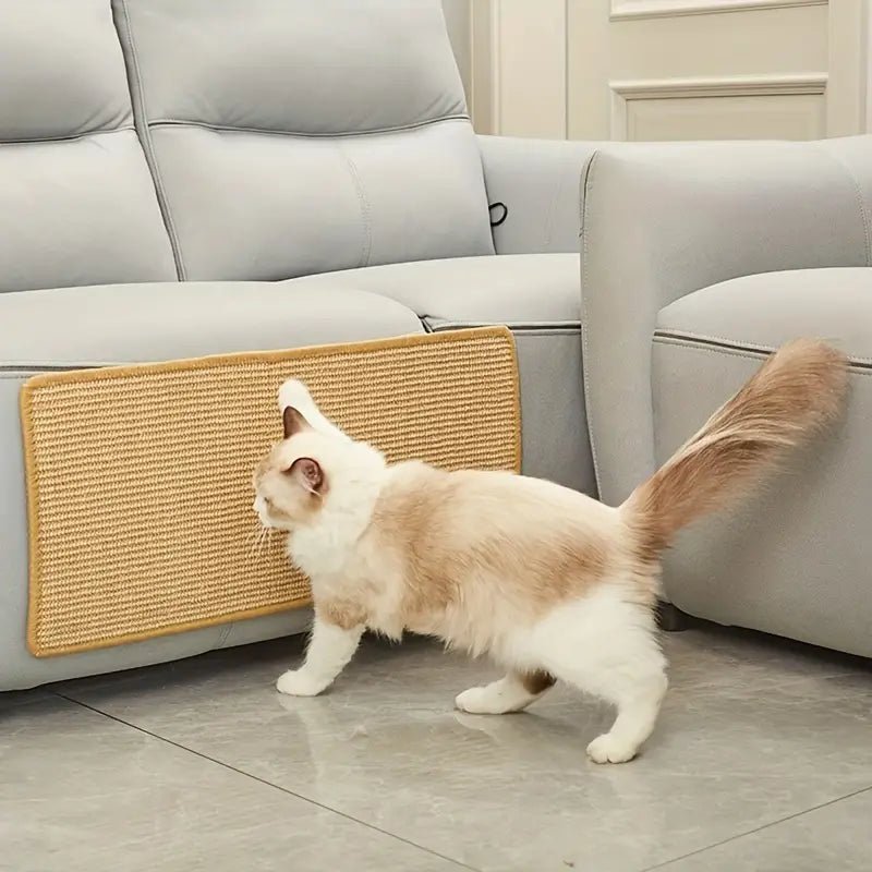 PawNest Modern Cat Scratching Post For Claw Care And Play | Temsk