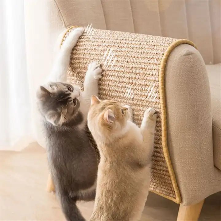 PawNest Modern Cat Scratching Post For Claw Care And Play | Temsk