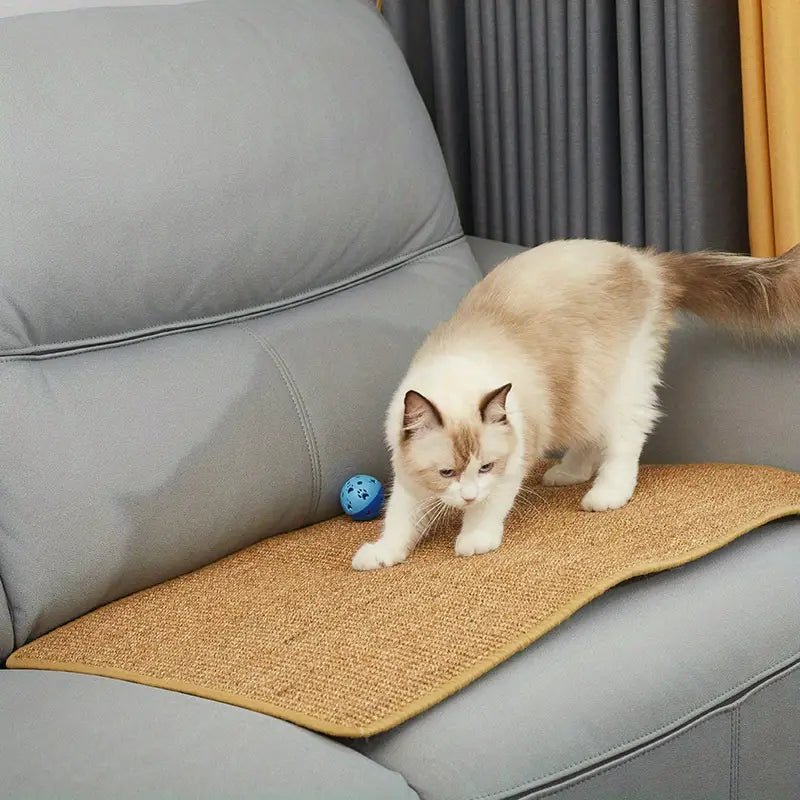 PawNest Modern Cat Scratching Post For Claw Care And Play | Temsk