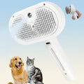 Self-Cleaning Grooming Brush For Pets With Silicone Massage Bristles And Spray | Temsk